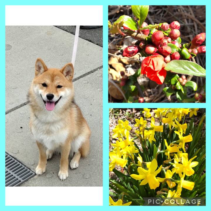 F7d362d1 a54e 489f a391 461f6dd5b2fe 1742723564472