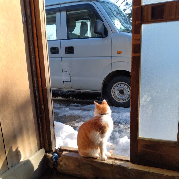 F7d367cf 9507 4d1b 96f0 78e261bf9af6 1737269468302