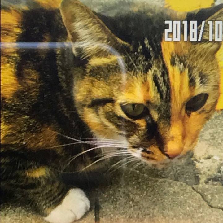 F7d36d7e 05d0 42f5 8992 71c7f2f48f02 1540635381334