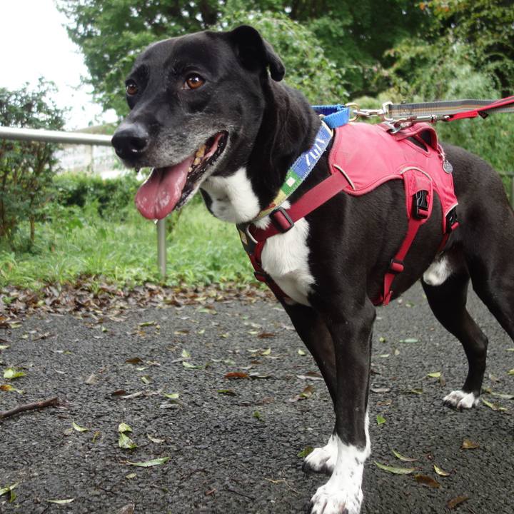 F7d3a2fc 19db 4dab 9de4 9d3b3db03405 1694219541539