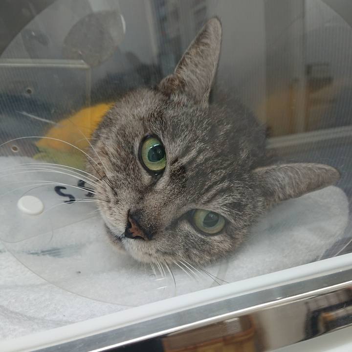 F7d3ad82 bb63 4eb7 9519 a879d968d33f 1585817689281