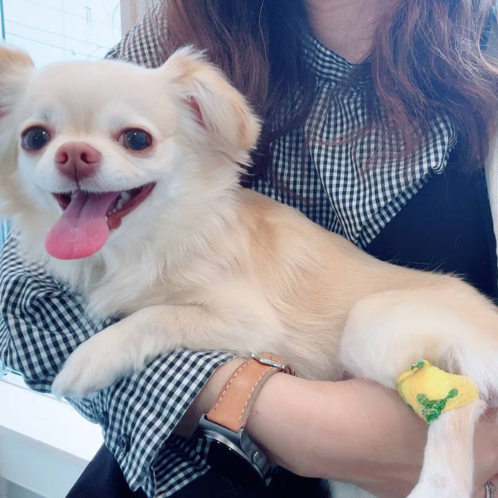 F7d3dce8 49f4 451d 94aa 4a53ef2f501c 1715582022985