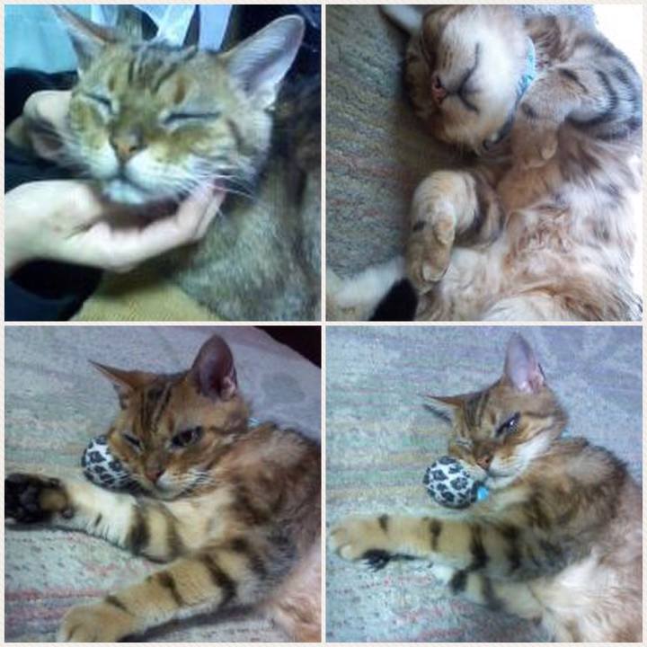 F7d3e1e7 0c39 4fb5 8c60 c3c2c42b13bc 1508599405346