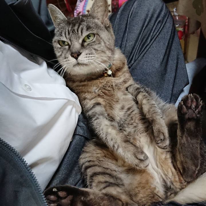 F7d3f0f0 f3fc 45a2 ab4c e86a9bb01578 1570675649711