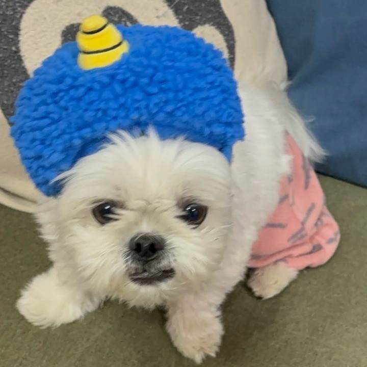 F7d3f569 25b4 4a7e 9bcc 3968a10bd419 1738499746134