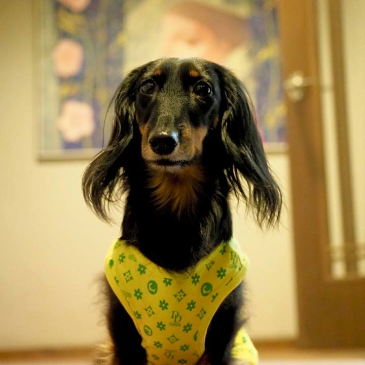 F7d42b6d 9f04 420a b132 8ba56993a485 1571135397351