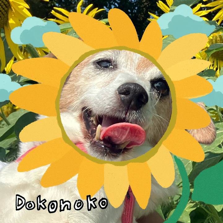 F7d4328c c967 415f a2f1 c373e58befbd 1723214320981