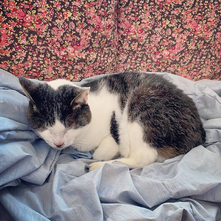 F7d43488 f4ab 4dfd be76 d973b1cdd0a3 1614500269645