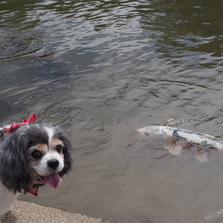 F7d48c89 f8d5 41fd 9777 88677c7475bc 1568533397820