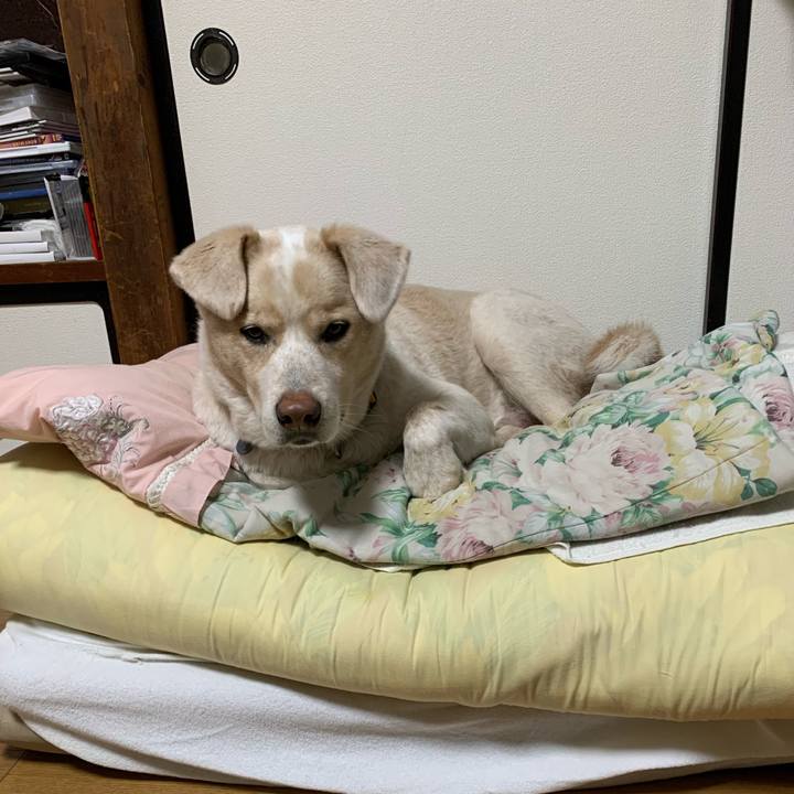 F7d48eb9 e7e8 42e5 a7d1 292fcb486814 1577875828305