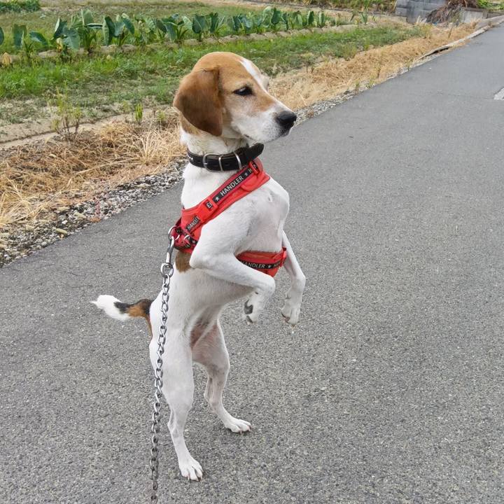 F7d49332 5f88 450f a1c4 ff312bbd8ba7 1723796311994