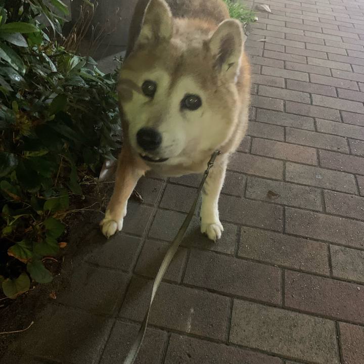 F7d4a71e 9d42 470d 949c 26858c3c54dc 1655042584753