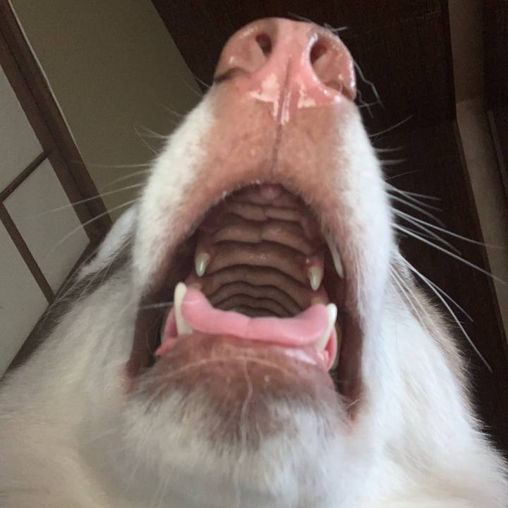 F7d4ac0c 6cd6 44b8 b2a8 caceabc53544 1573956524916