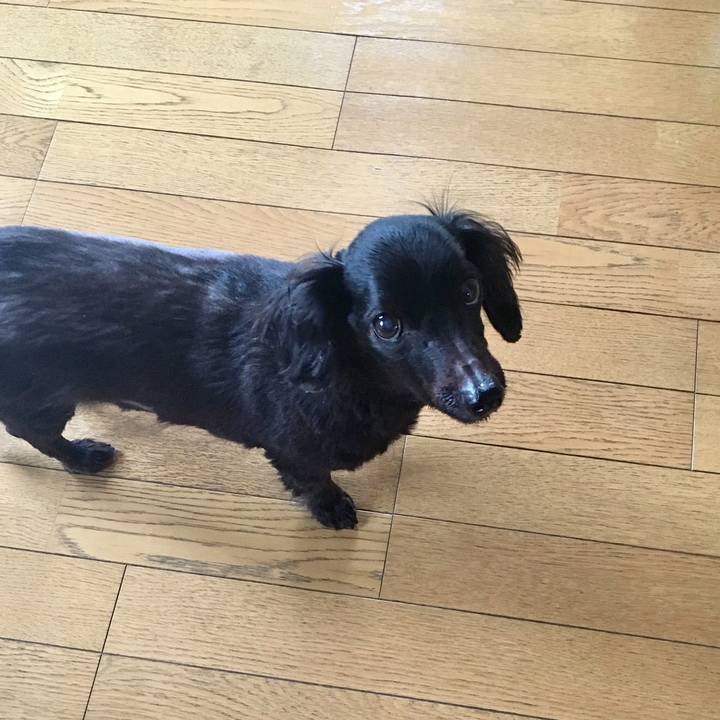 F7d4e52e 29fd 4851 a115 305c0c199686 1555882788862