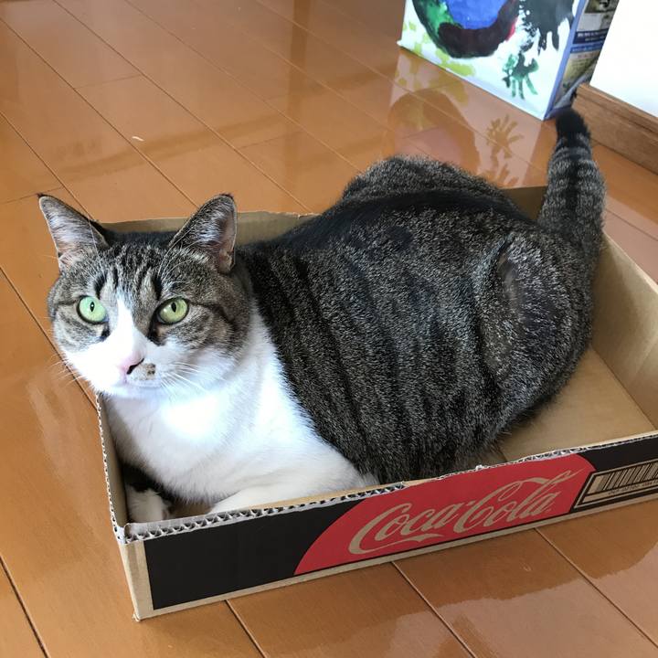 F7d5184f 2c50 4433 b979 41177a794f58 1515986072978