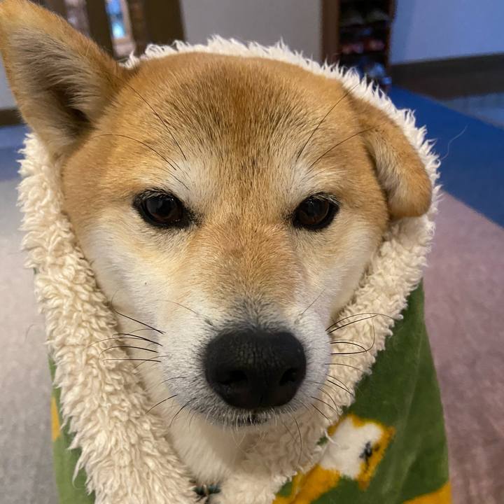 F7d53dbd fc69 47ae 9d7c c9f96ebae544 1604310347668