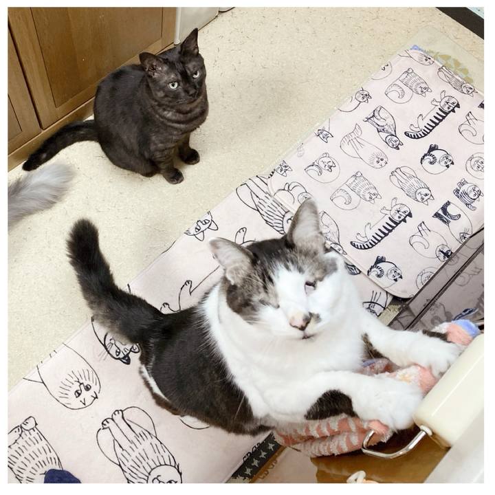 F7d566e3 cc21 4ced b074 5724c1f0461f 1714692879976