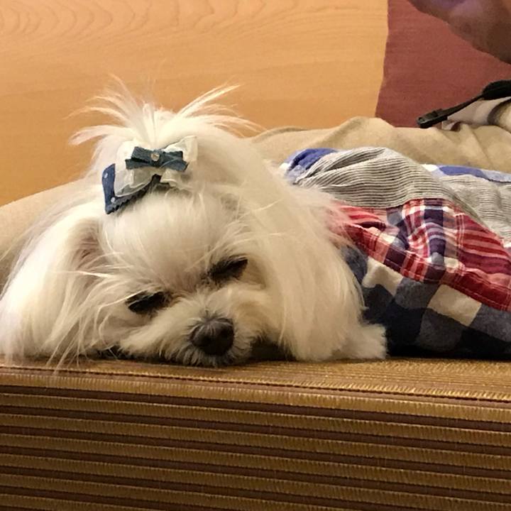 F7d574e0 aa8e 47fe b0e2 d806daaa5492 1764931549913