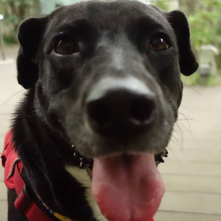 F7d5944a 837a 4448 886b dd235d553e36 1591232087099