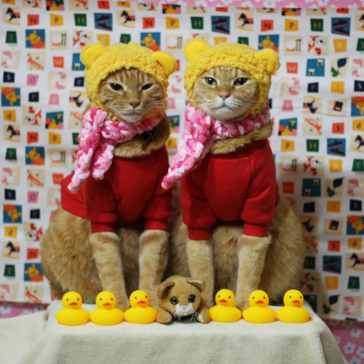 F7d5a3ce 9b42 4cdc aa99 47656ab6a9ef 1517221726480