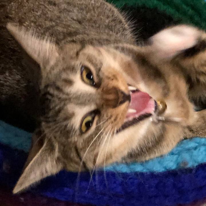 F7d5af4a 073e 46e8 bc6b d4de6089a72b 1568465505790