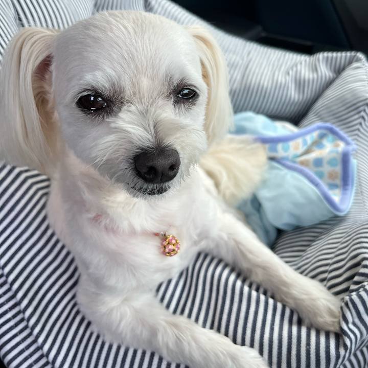 F7d5b3a8 49b0 4ba2 b68d 41b6ae655cee 1687830417332