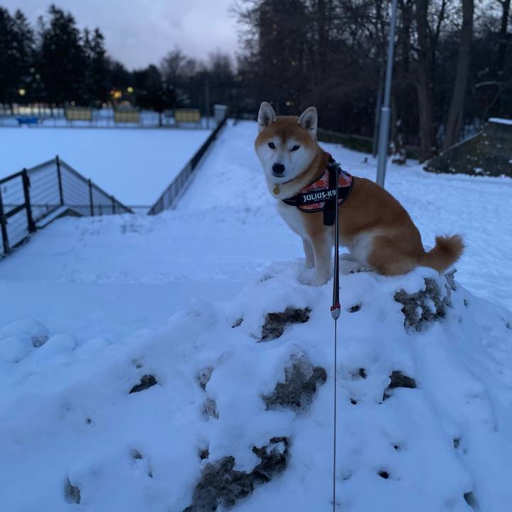 F7d5bf14 3bf4 40b9 af12 30108b8ba3e1 1608369714929