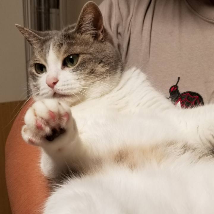 F7d5dfbe fea7 4188 a3ec 0baa90026b77 1690768251806