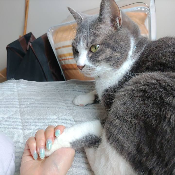 F7d66576 1bad 4215 89a9 bcf7eff590da 1717974579208