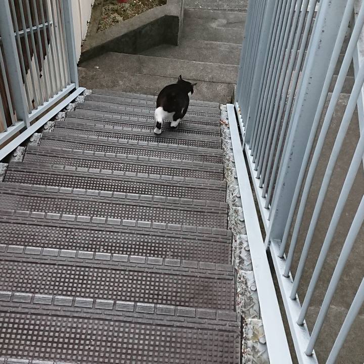 F7d6a2fb 92c0 4b14 80ef 25bd71acbba7 1542252670985