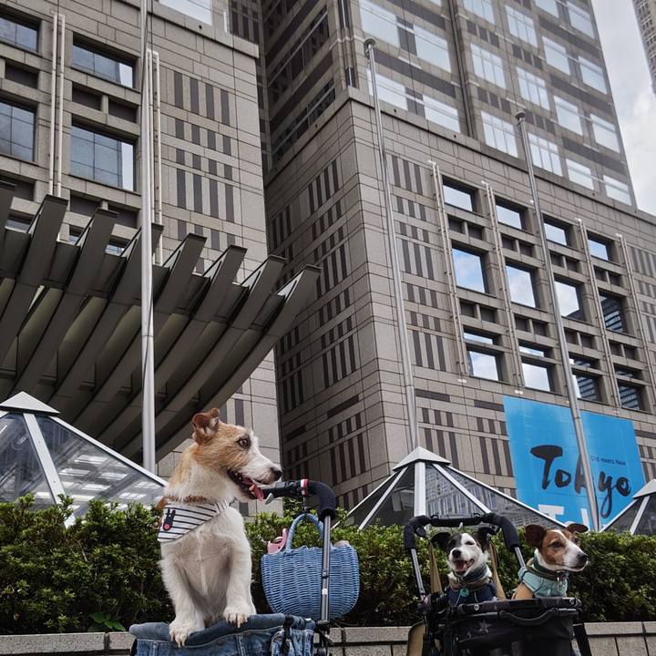 F7d6d9f2 12c9 485a b071 0684bcc0704d 1758442434119