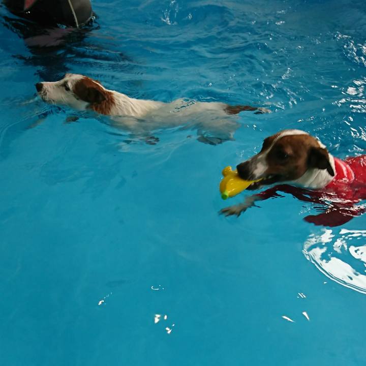 F7d6e241 47df 4711 9c33 bbb5f92e43ac 1616388225730