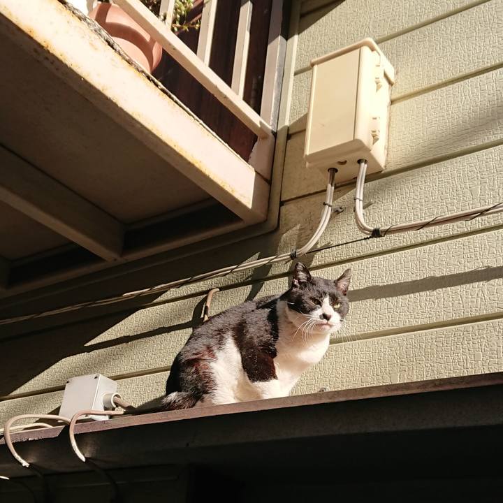 F7d6ec00 3980 4834 90fe 6a180ff96478 1582875518441