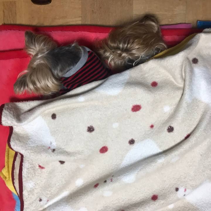 F7d73d60 29b6 4315 8cfc 0c685db26c58 1606042579425