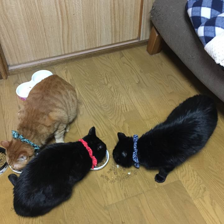 F7d73e9c 5ab6 4382 ab3f c844b1d067f7 1547982915409