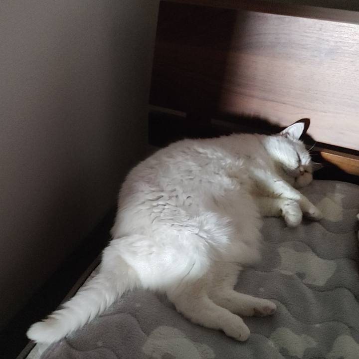 F7d7504b 1b3d 4884 a6b1 525e9938d066 1731117021035