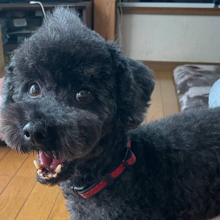 F7d76dd0 5f13 4fdc b77f 011d8c5be0c4 1700371430958