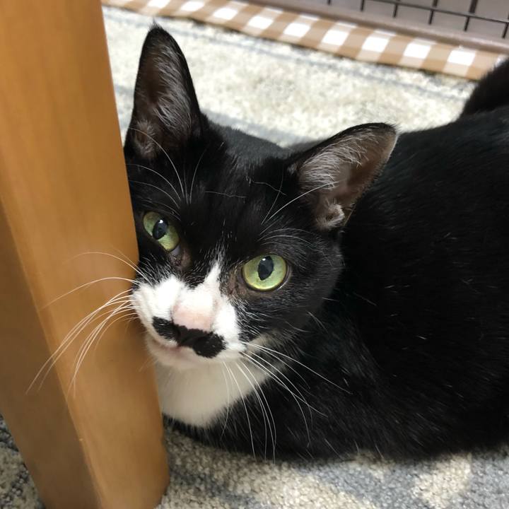 F7d7877f 584a 4fc7 817e 4174f7daaa43 1629908089110