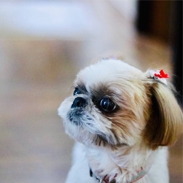 F7d79c72 3faa 4867 8519 39da18871a81 1542199060859