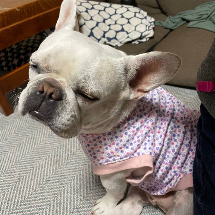 F7d79c94 6b3e 45fb 876a 07002fbc695c 1735209568744