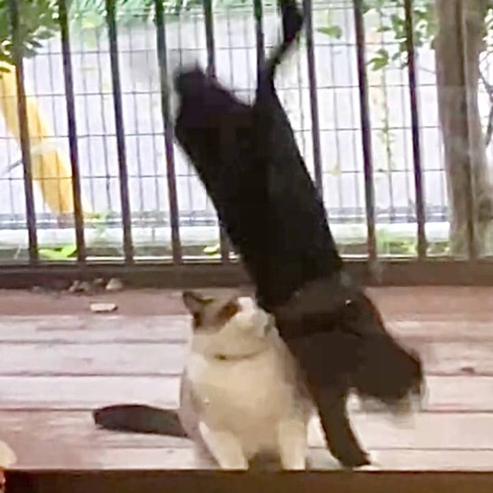 F7d7be06 2a8e 4529 8851 5e990ea3d3f8 1731146143822