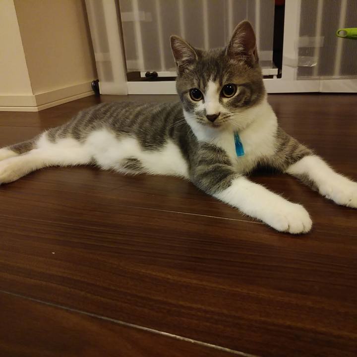 F7d7c4cd d735 4448 88e4 72e5fc2d2909 1568213802358