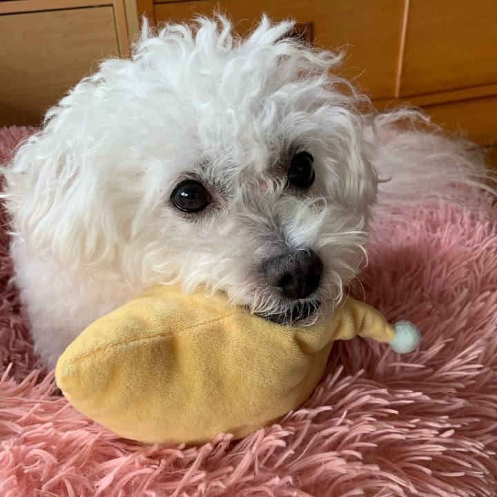 F7d81f6a cf4e 46c9 ac1f 1b72950b8ce8 1664057539507