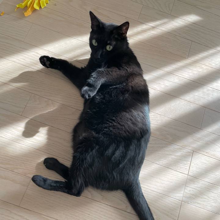 F7d82906 e9b4 43d8 86bf e31c7fb8940e 1719044931921