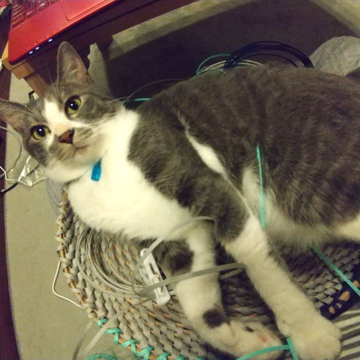 F7d82b14 1885 481d bfa6 415984968f57 1623879680793