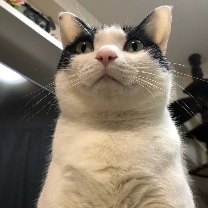 F7d83990 405f 438e 91bc a6e92ba252b0 1522321918146