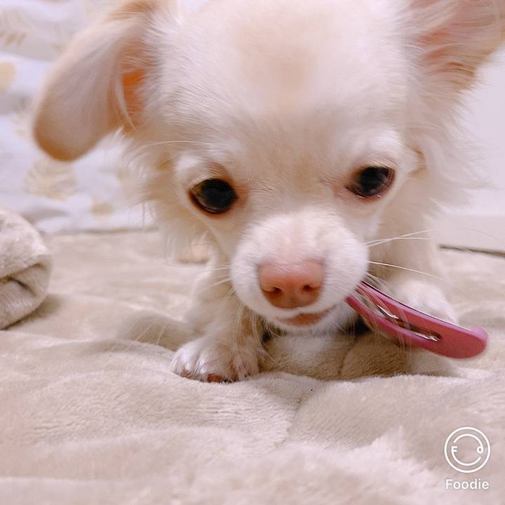 F7d8445b 317b 421a b07e ba55feebdc58 1605583200013