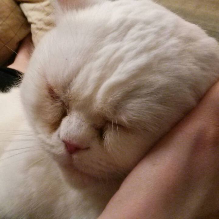 F7d857fb 300e 472c acc1 2905b8c340a7 1520752683977