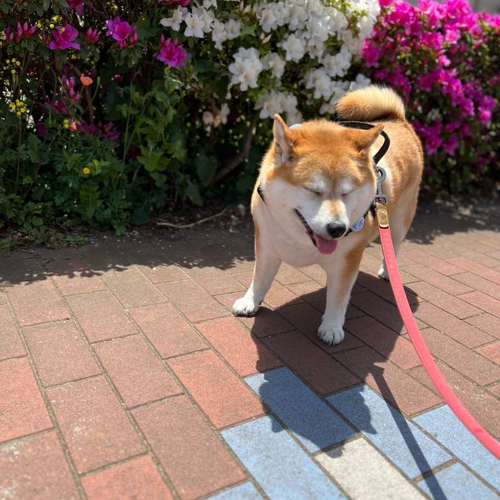 F7d88166 7caa 4a0e a2c5 8803f47a34f4 1682046649424