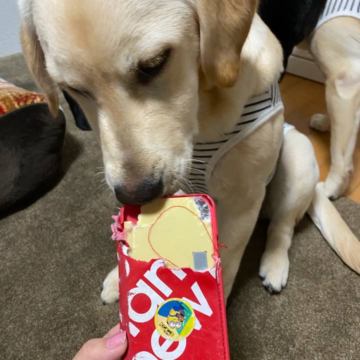 F7d8e7ae ec86 40c1 a480 c3b47f191915 1619269180307